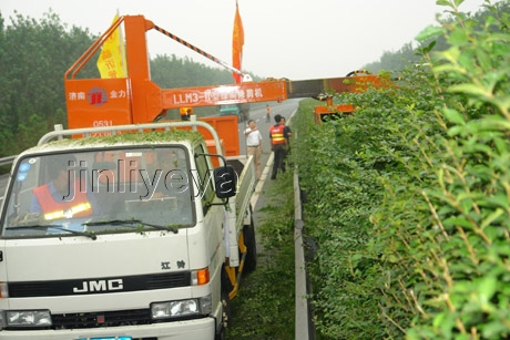 江西高速公路绿林修剪机